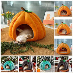 Cozy Pumpkin Pet House - Creatique