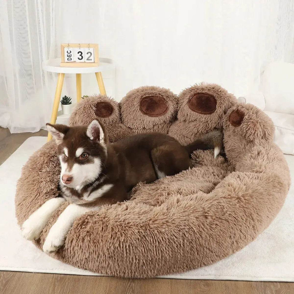Cozy Bear Paw Pet Bed - Creatique