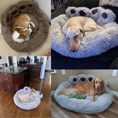 Cozy Bear Paw Pet Bed - Creatique