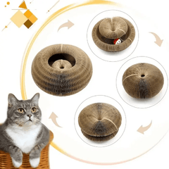 Cat Scratcher & Toy Bed – PawFlex Play - Creatique