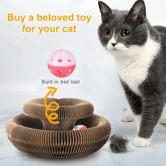 Cat Scratcher & Toy Bed – PawFlex Play - Creatique