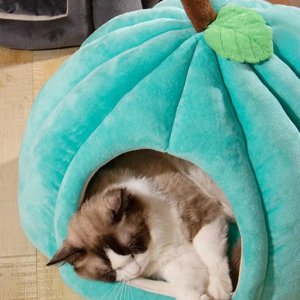 Cozy Pumpkin Pet House Creatique