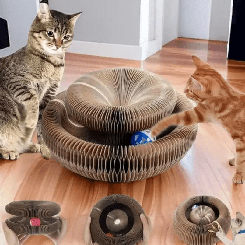 Cat Scratcher & Toy Bed – PawFlex Play - Creatique