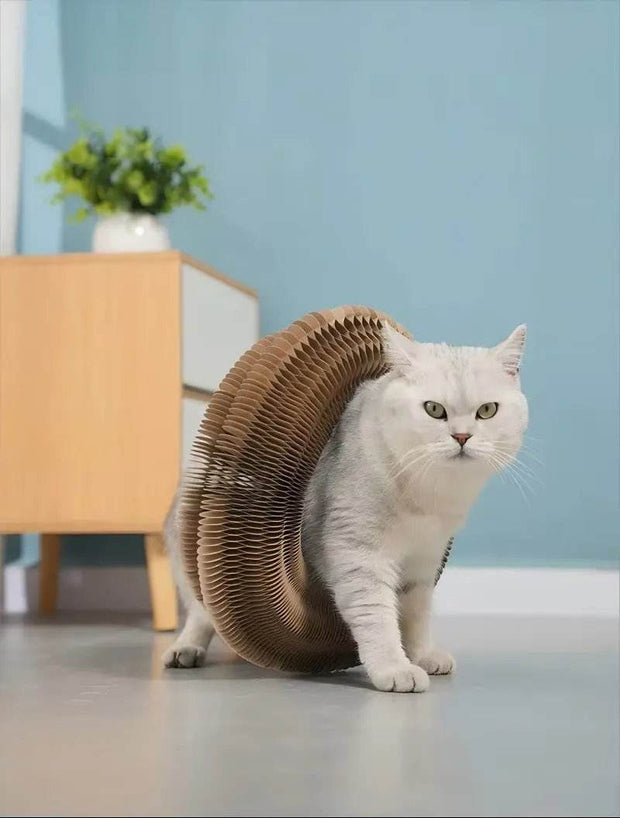Cat Scratcher & Toy Bed – PawFlex Play - Creatique