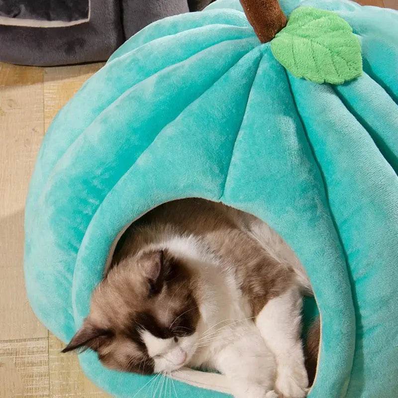 Cozy Pumpkin Pet House - Creatique