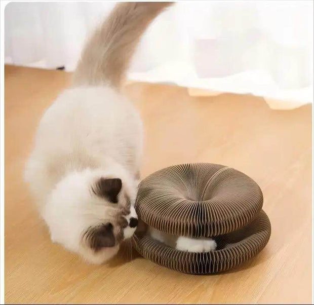 Cat Scratcher & Toy Bed – PawFlex Play - Creatique