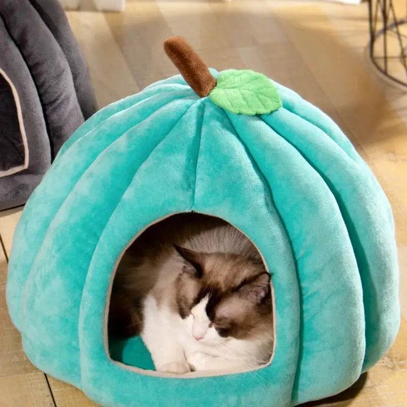 Cozy Pumpkin Pet House - Creatique