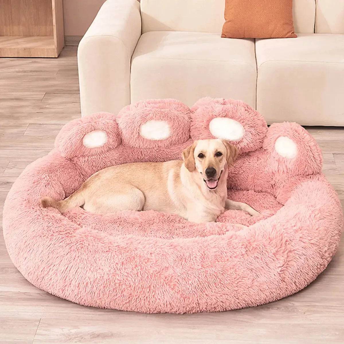 Cozy Bear Paw Pet Bed - Creatique
