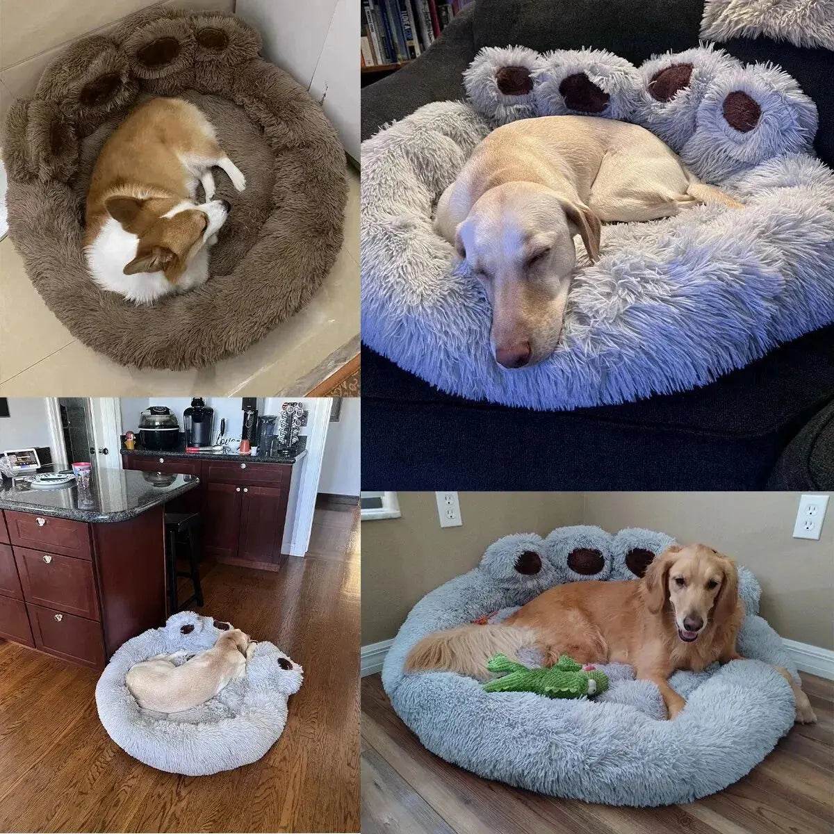 Cozy Bear Paw Pet Bed - Creatique