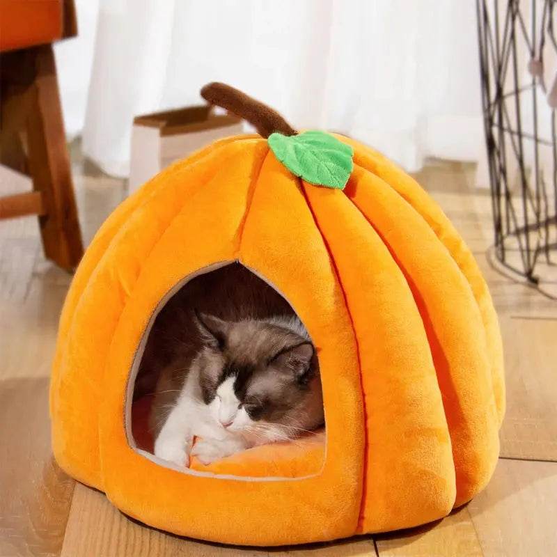 Cozy Pumpkin Pet House - Creatique