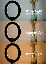 Ultimate Tripod with LED Ring Light for Stunning Selfies & Professional Photography – Perfect for YouTube Live Streaming! - Creatique