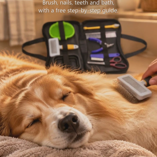 Golden retriever relaxing while being brushed at home, grooming kit case open beside it