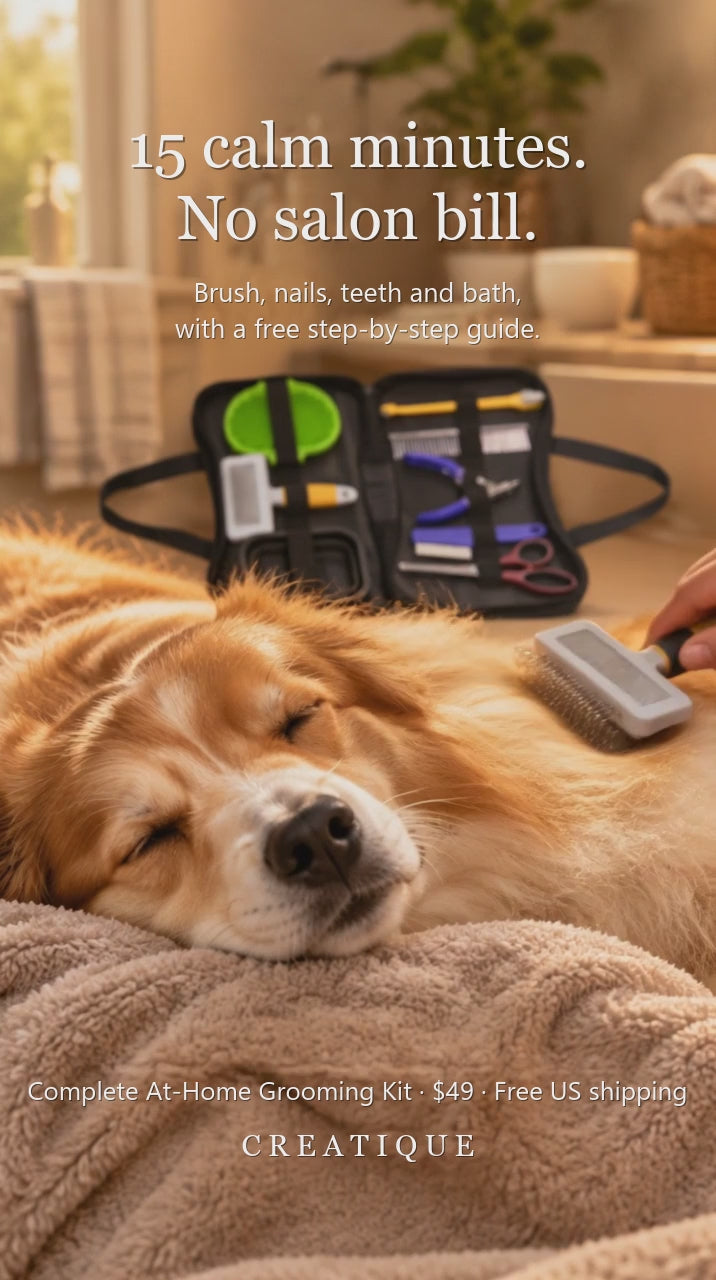Golden retriever relaxing while being brushed at home, grooming kit case open beside it